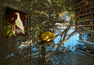Robyn Stacey's magical camera obscuras